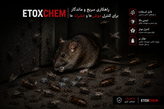 تصویر توضیحات سم موش ETOXCHEM